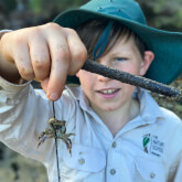 The Nature School Port Macquarie