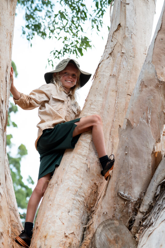 The Nature School Port Macquarie